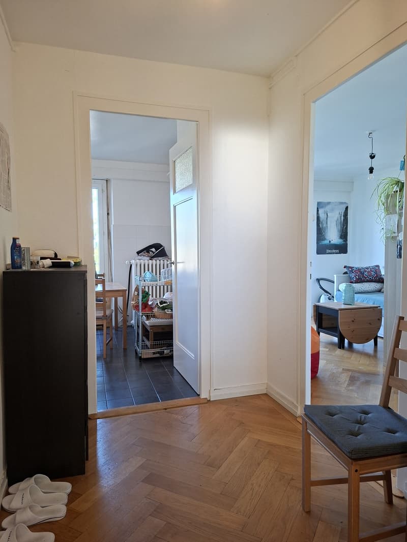 Reprise de bail 2 pièces, Rue des Délices 21bis, 1203 Genève CHF 1'530. charges comprises (11)