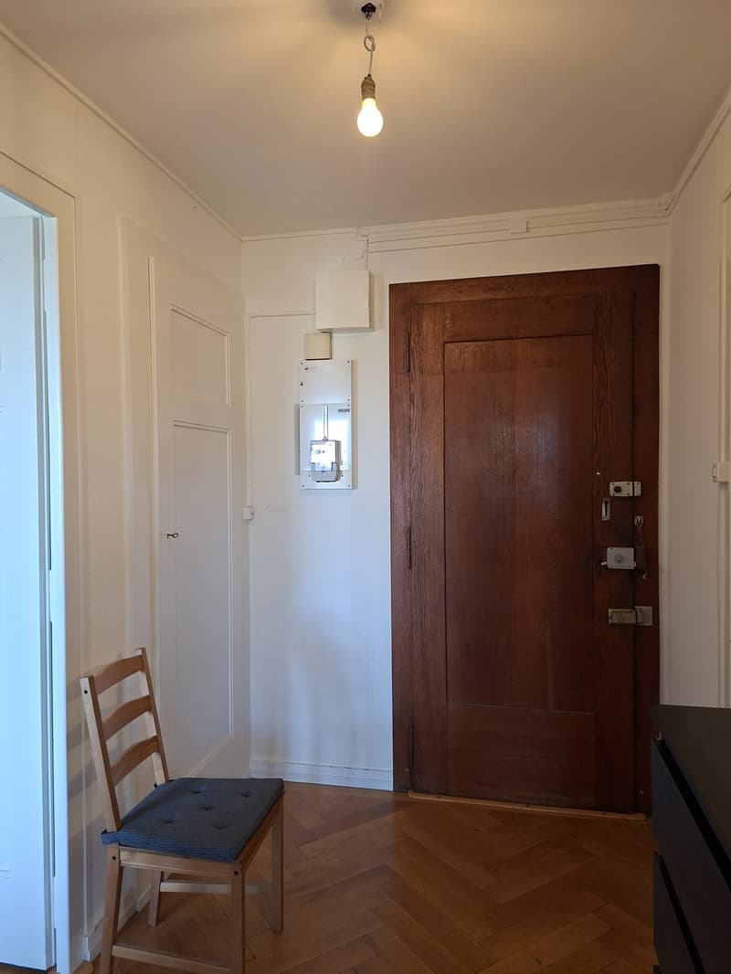 Reprise de bail 2 pièces, Rue des Délices 21bis, 1203 Genève CHF 1'530. charges comprises (9)