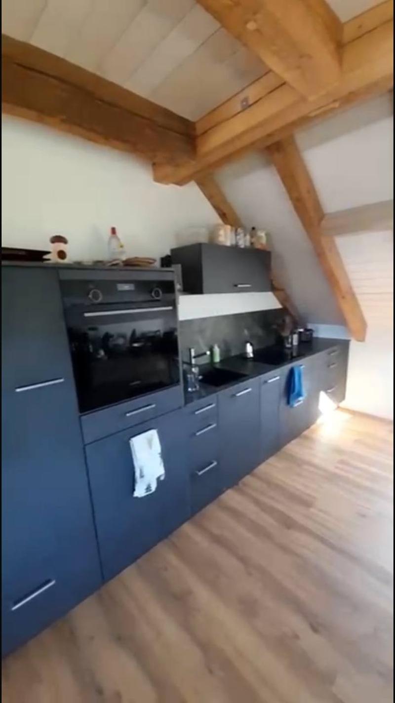 Wohngemeinschaft sucht neue Mitbewohner/in (12)