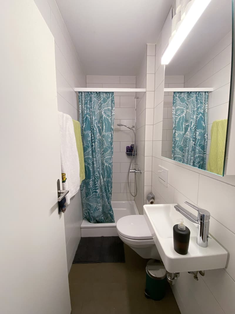 Möbliertes WG-Zimmer im Gundeli, Basel (4)