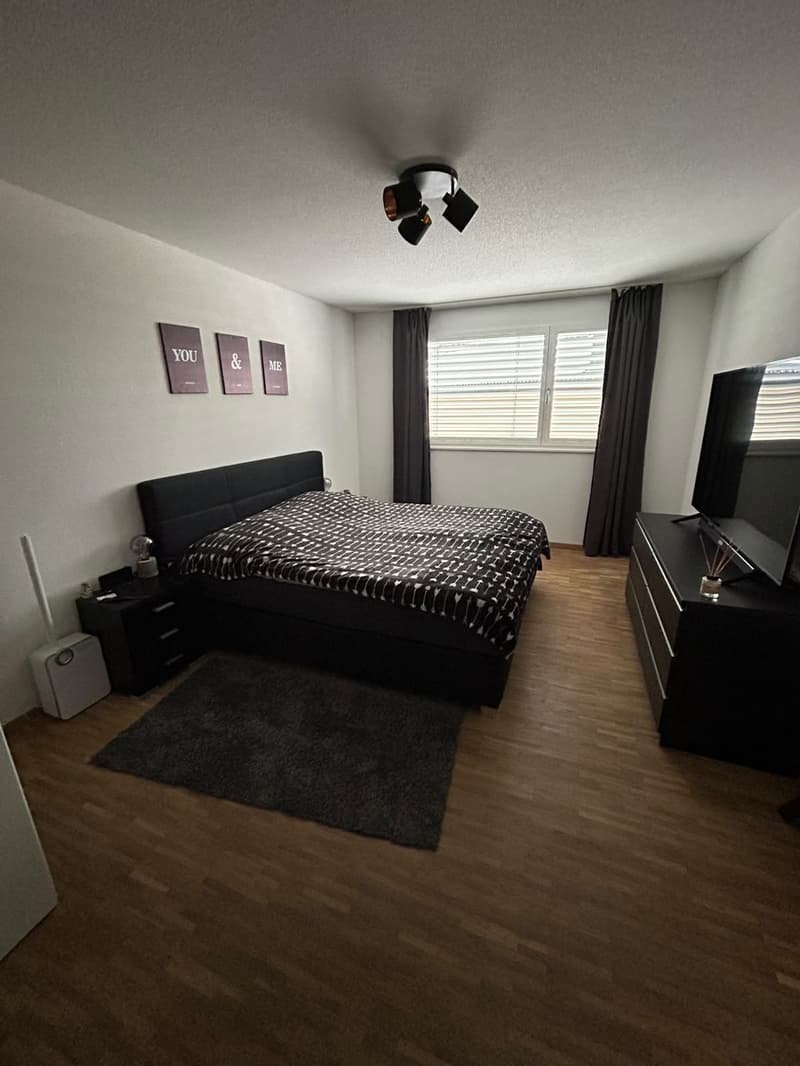 Nachmieter für 4.5 Zimmer Wohnung gesucht (3)