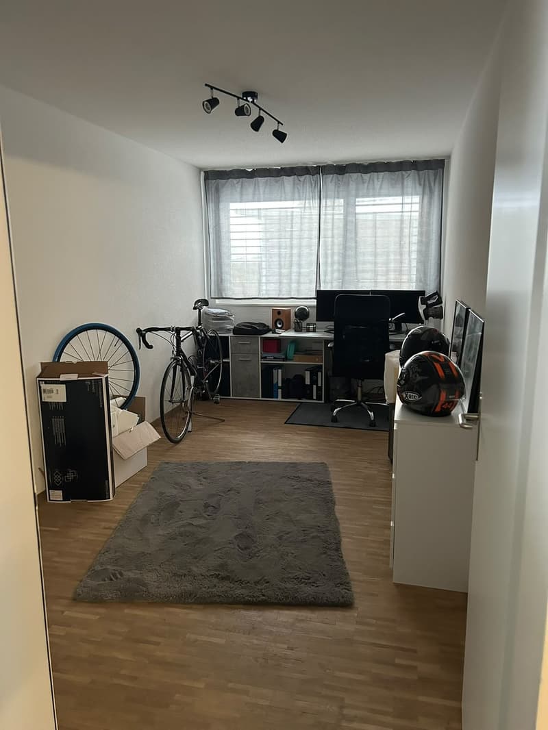 Nachmieter für 4.5 Zimmer Wohnung gesucht (5)