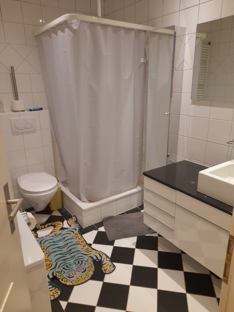 Room to sublet in Lorraine WG (12)