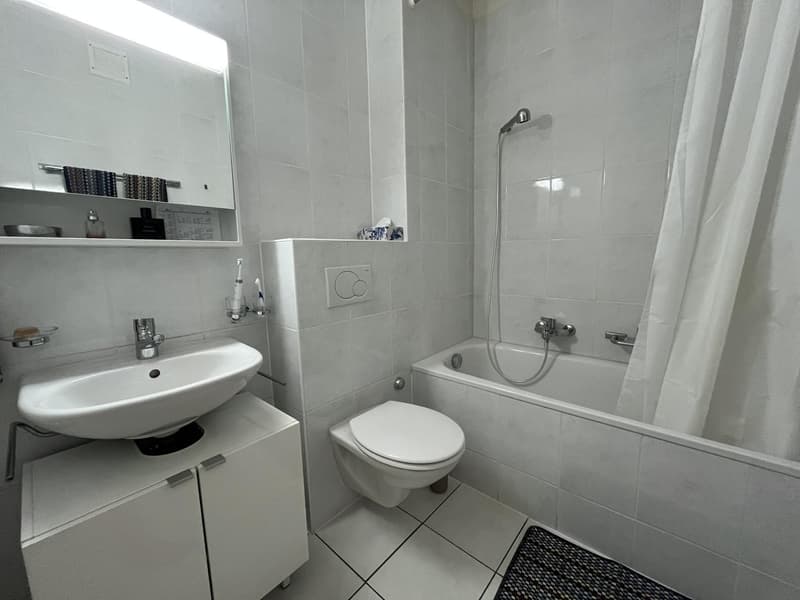 Appartement traversant près du métro Ours - vue lac (6)