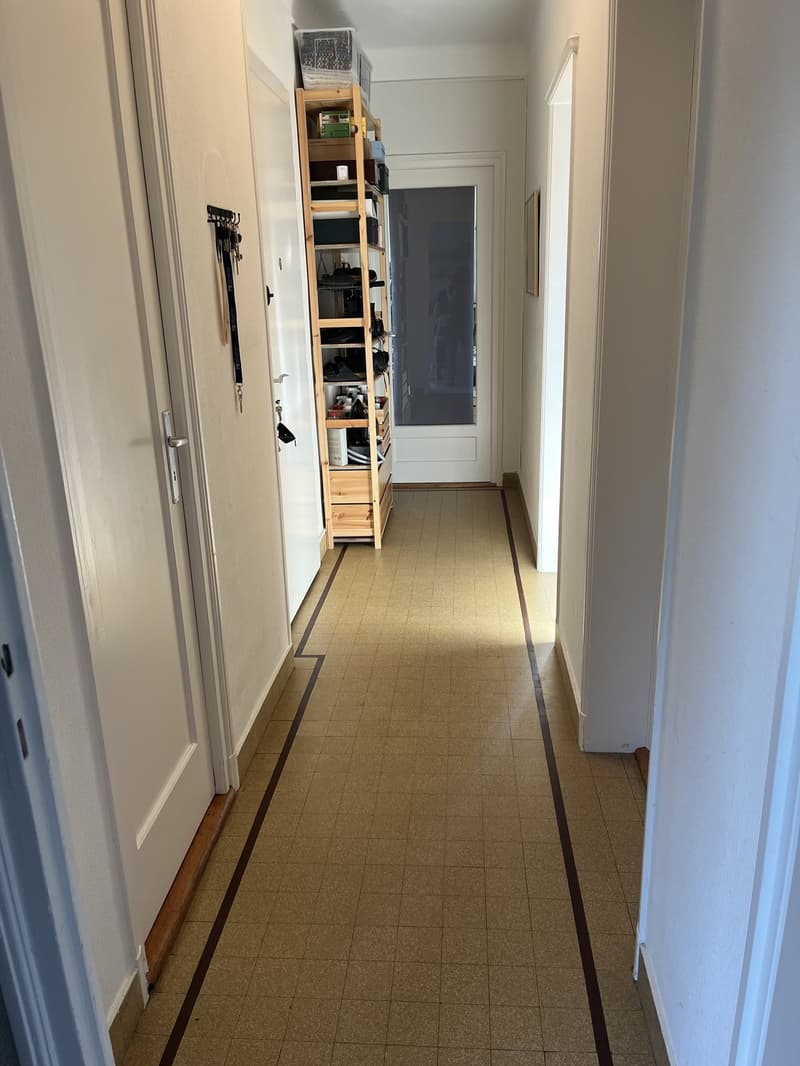Appartement traversant près du métro Ours - vue lac (5)