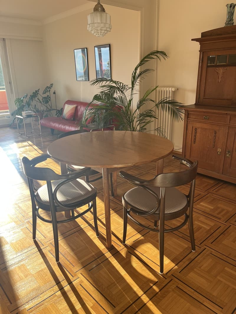 Appartement traversant près du métro Ours - vue lac (7)