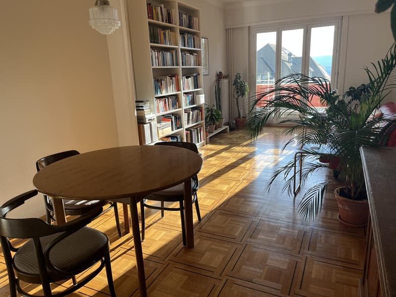 Appartement traversant près du métro Ours - vue lac (1)