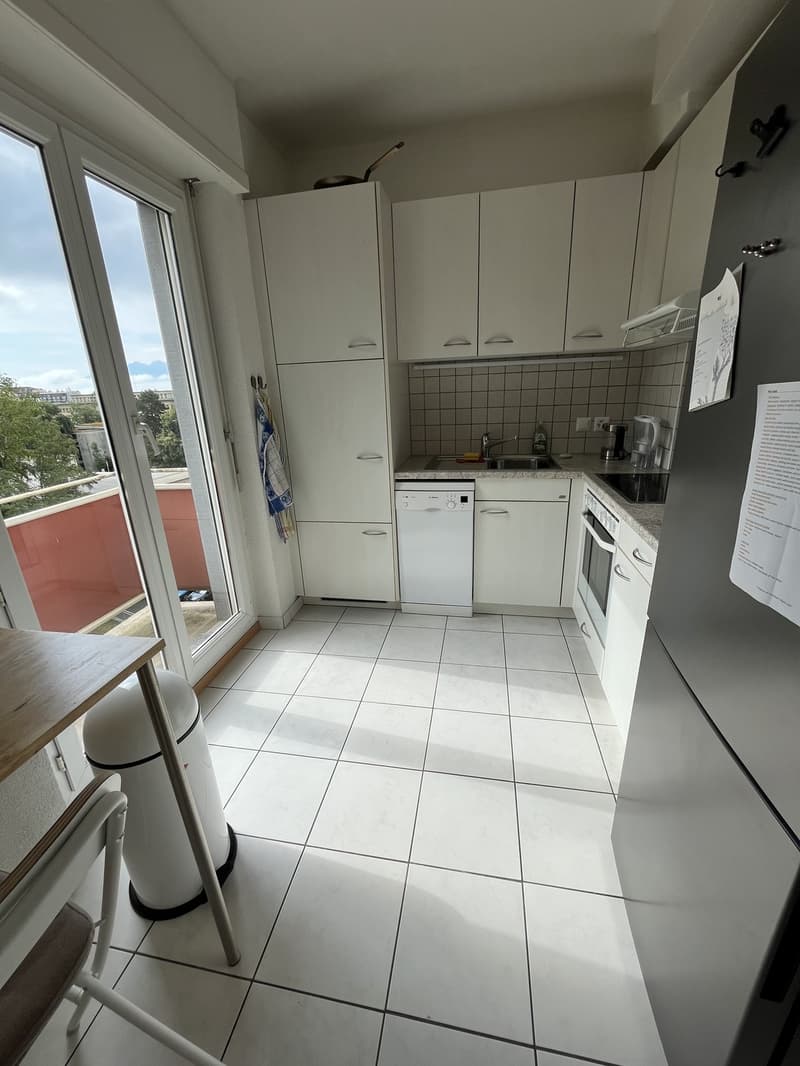 Appartement traversant près du métro Ours - vue lac (2)