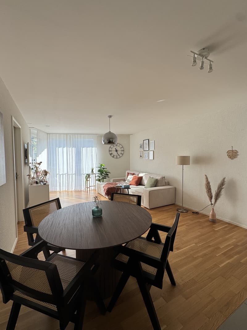 Furnished 2.5-Room Apartment for Temporary Rent (Jan June 2027) (1)