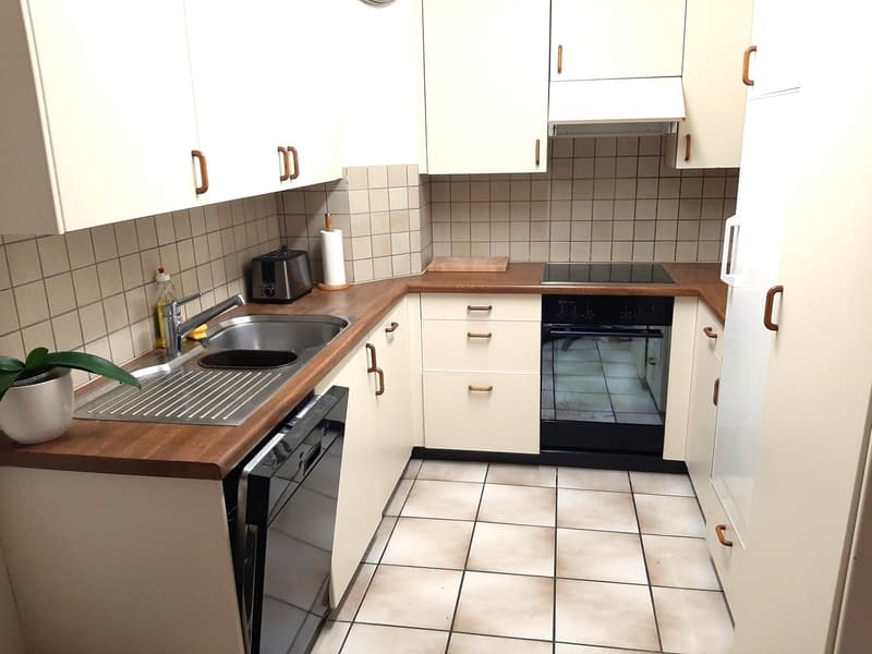 Beautiful furnished apartment (4)
