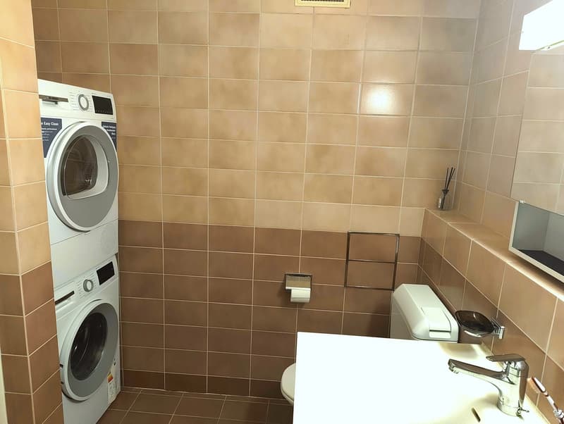 Beautiful furnished apartment (7)