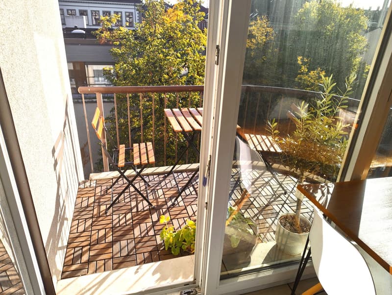 Beautiful furnished apartment (3)