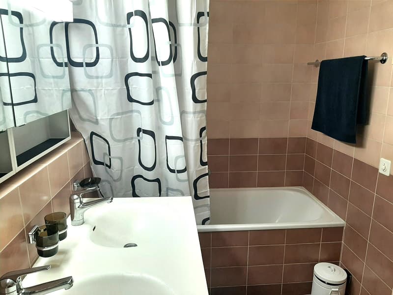 Beautiful furnished apartment (6)
