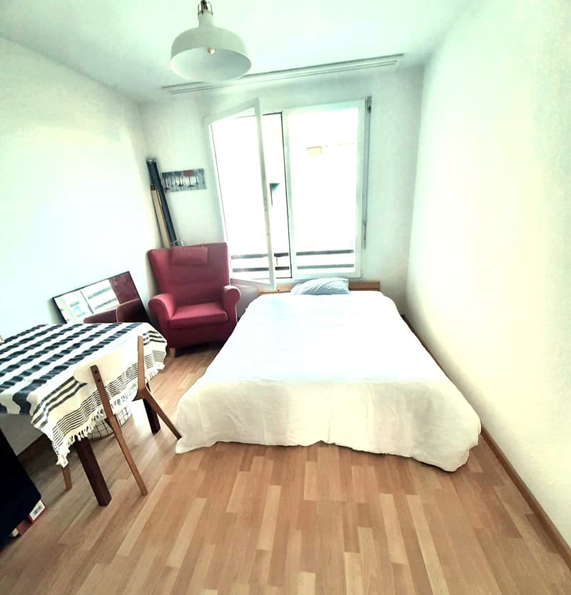 Beautiful furnished apartment (5)