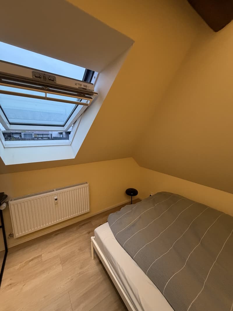 WG-Zimmer für Frauen (2)