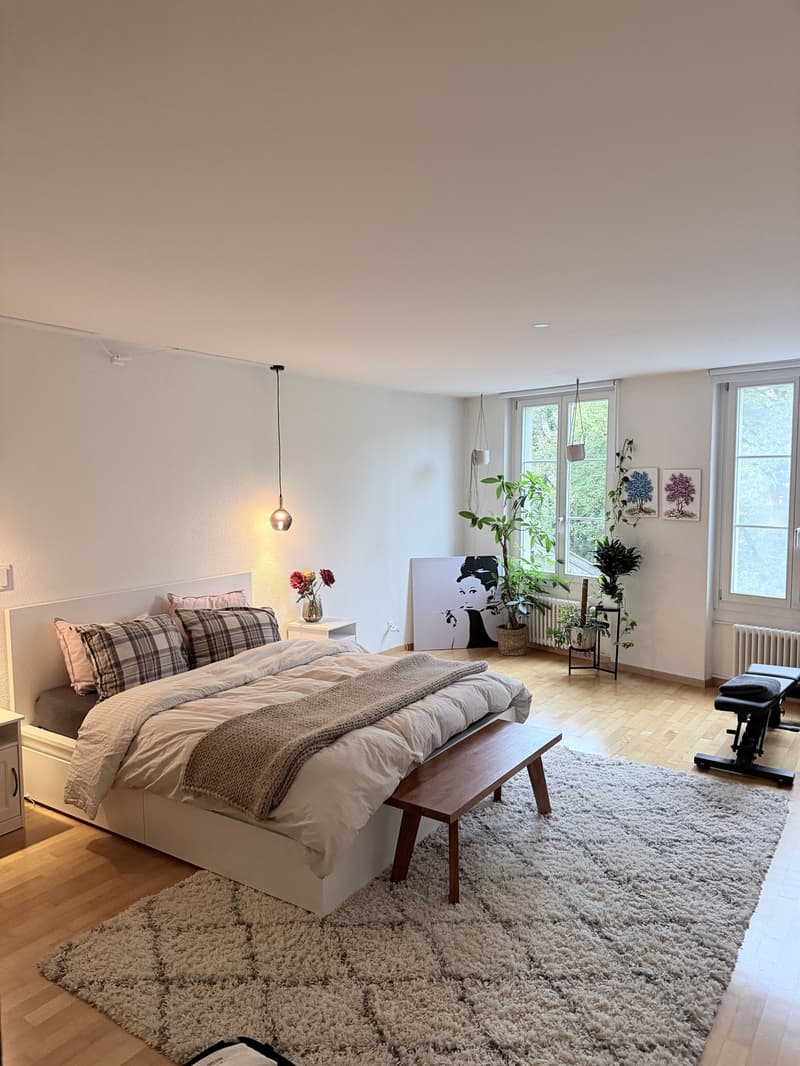 3.5-Zimmer-Wohnung in der Berner Altstadt (8)