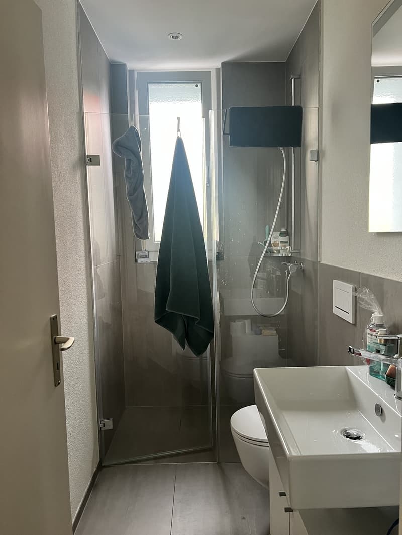 Temporary sublet - Furnished 2.5-room apartment (5)