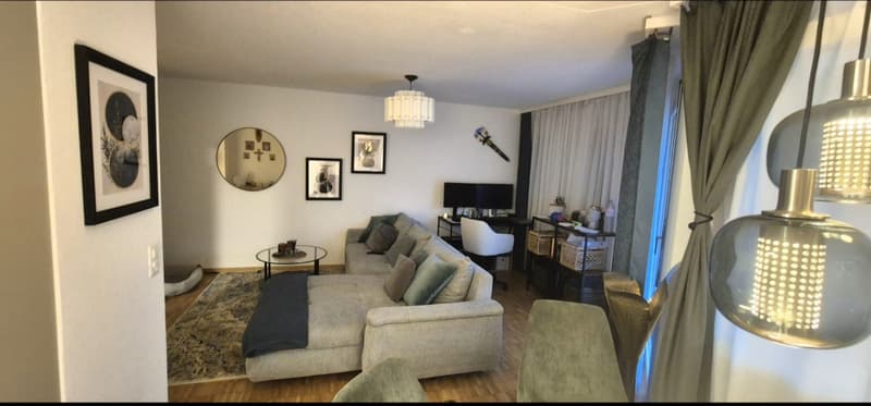 Nachmiter/in gesucht für eine Schöne 2,5-Zimmerwohnung in Hägendorf, (6)