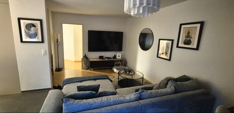 Nachmiter/in gesucht für eine Schöne 2,5-Zimmerwohnung in Hägendorf, (1)