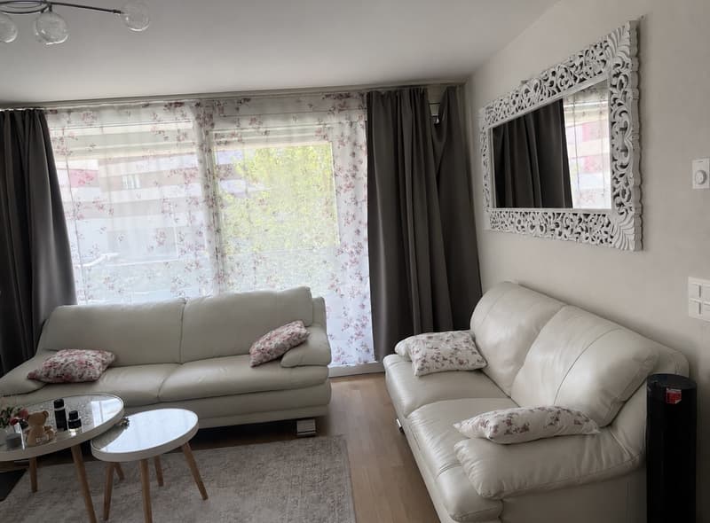 Appartement 2 ½ pièces, 1020 renens (4)