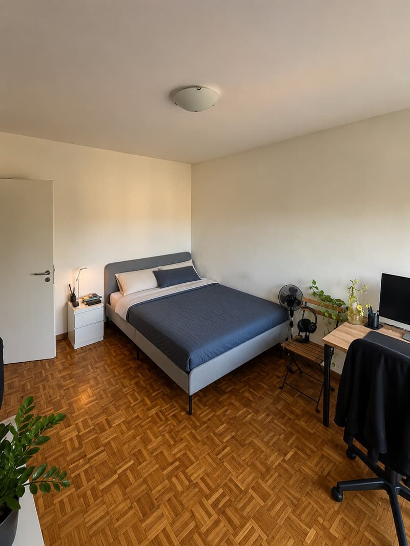 Camera singola luminosa a Lugano CHF 707/mese (4)