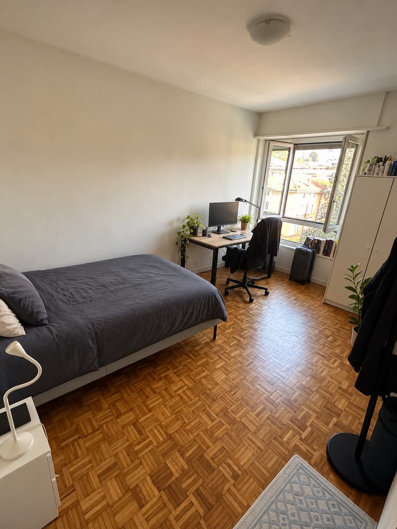 Camera singola luminosa a Lugano CHF 707/mese (3)