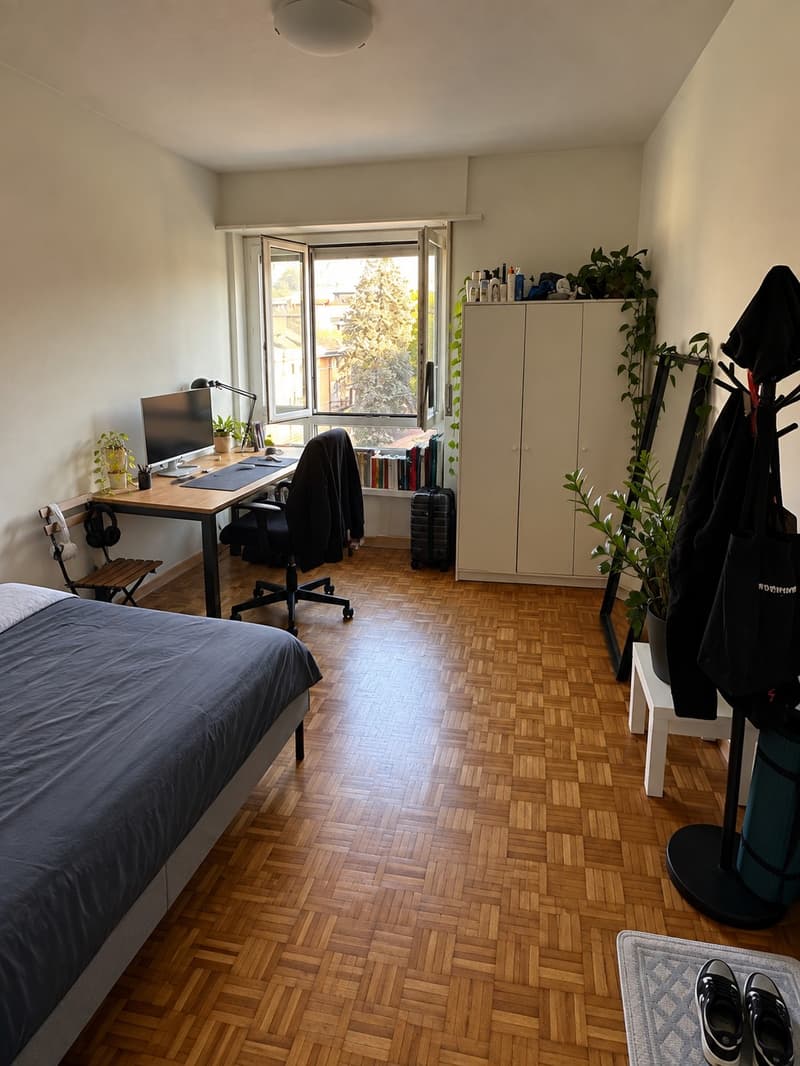 Camera singola luminosa a Lugano CHF 707/mese (1)