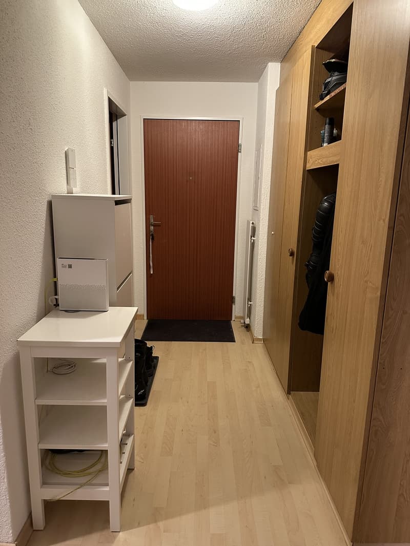 Per 1. Dezember 2026 suche ich einen Nachmieter für meine 2.5-Zimmer-Wohnung in Boningen. (12)