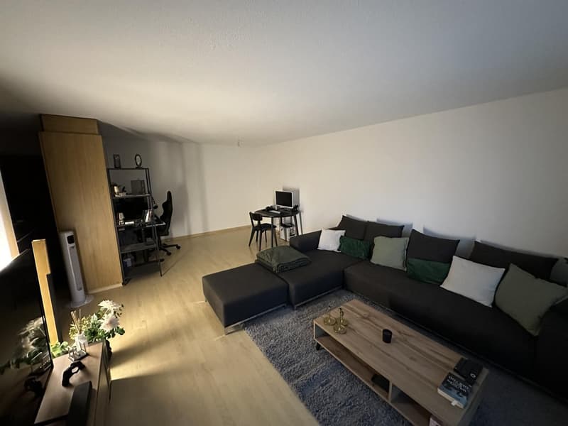 Per 1. Dezember 2026 suche ich einen Nachmieter für meine 2.5-Zimmer-Wohnung in Boningen. (1)