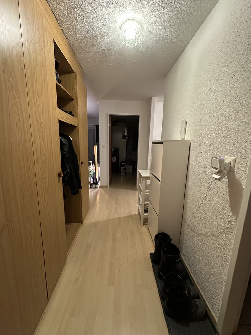 Per 1. Dezember 2026 suche ich einen Nachmieter für meine 2.5-Zimmer-Wohnung in Boningen. (11)