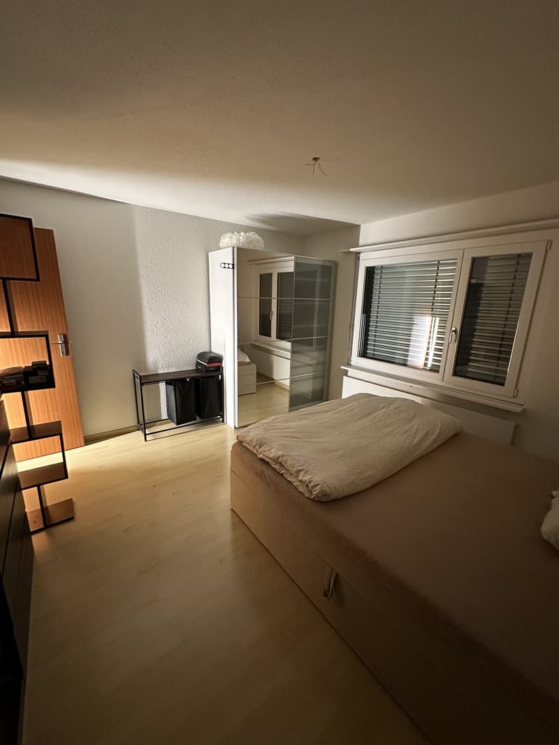 Per 1. Dezember 2026 suche ich einen Nachmieter für meine 2.5-Zimmer-Wohnung in Boningen. (6)