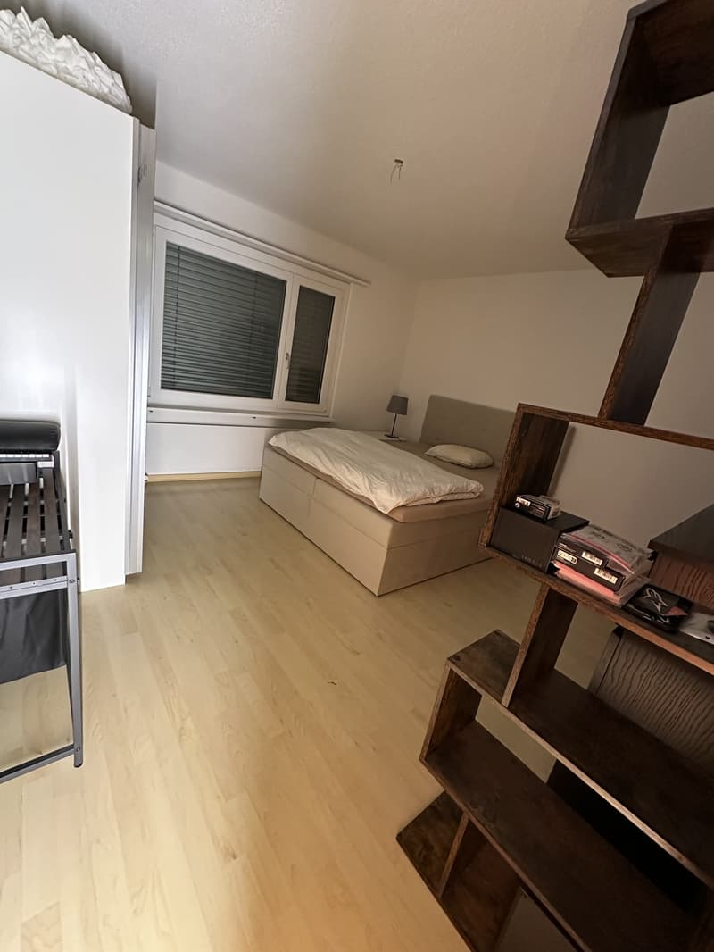 Per 1. Dezember 2026 suche ich einen Nachmieter für meine 2.5-Zimmer-Wohnung in Boningen. (5)