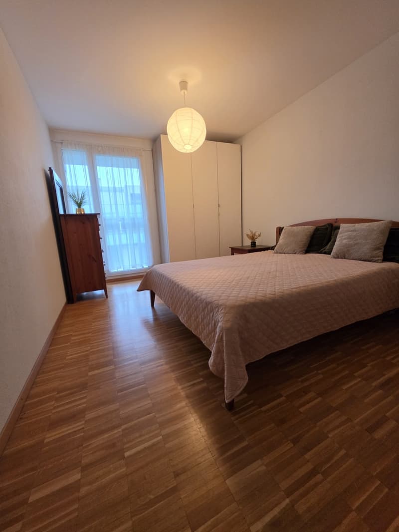 Bel appartement meublé et tout équipé, proche du lac (3)
