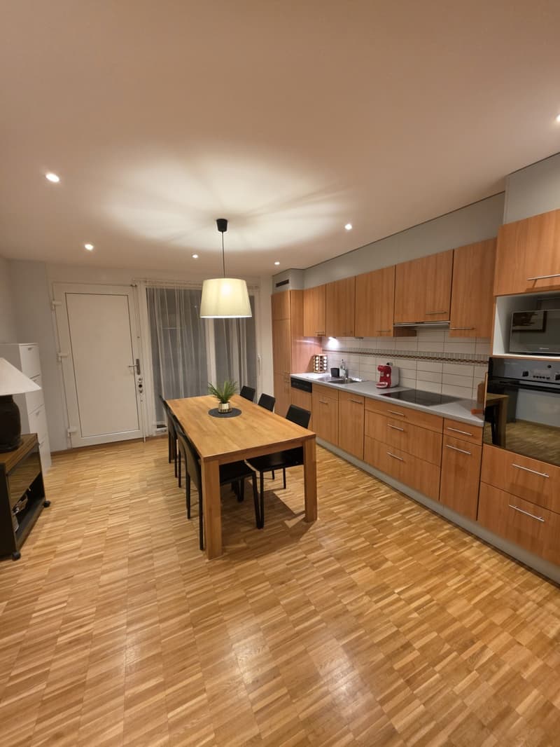 Bel appartement meublé et tout équipé, proche du lac (2)