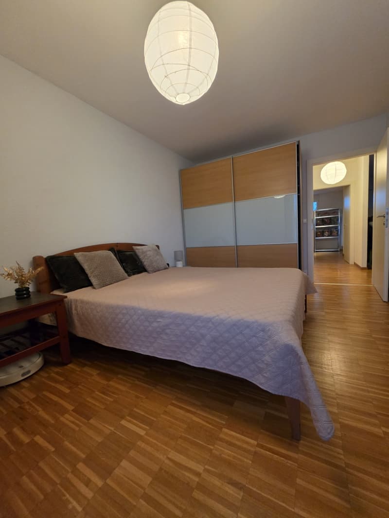 Bel appartement meublé et tout équipé, proche du lac (4)