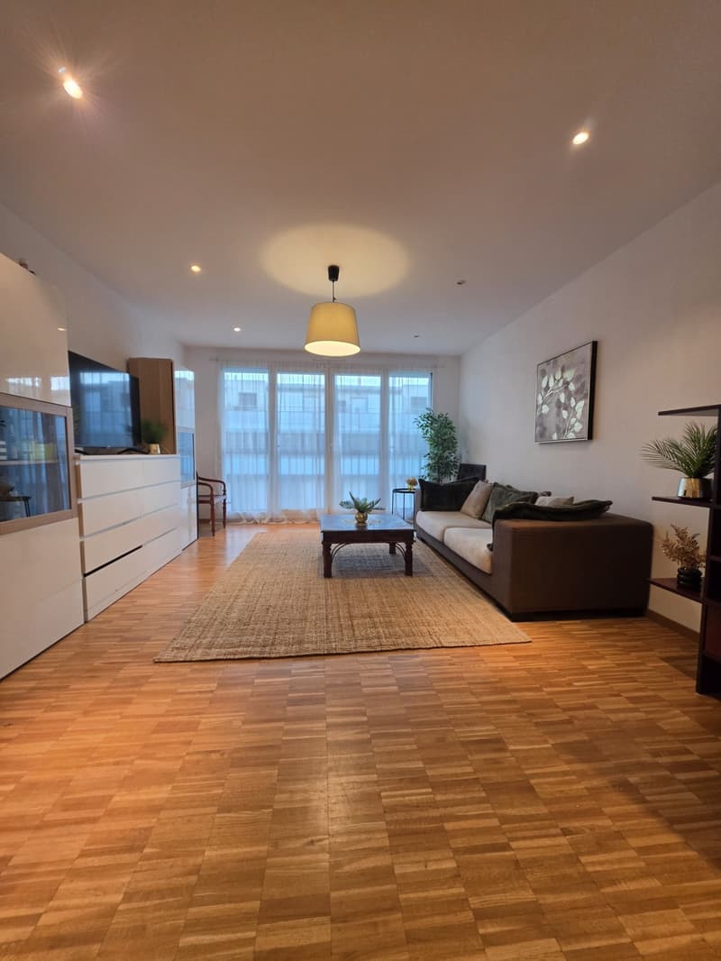 Bel appartement meublé et tout équipé, proche du lac (1)