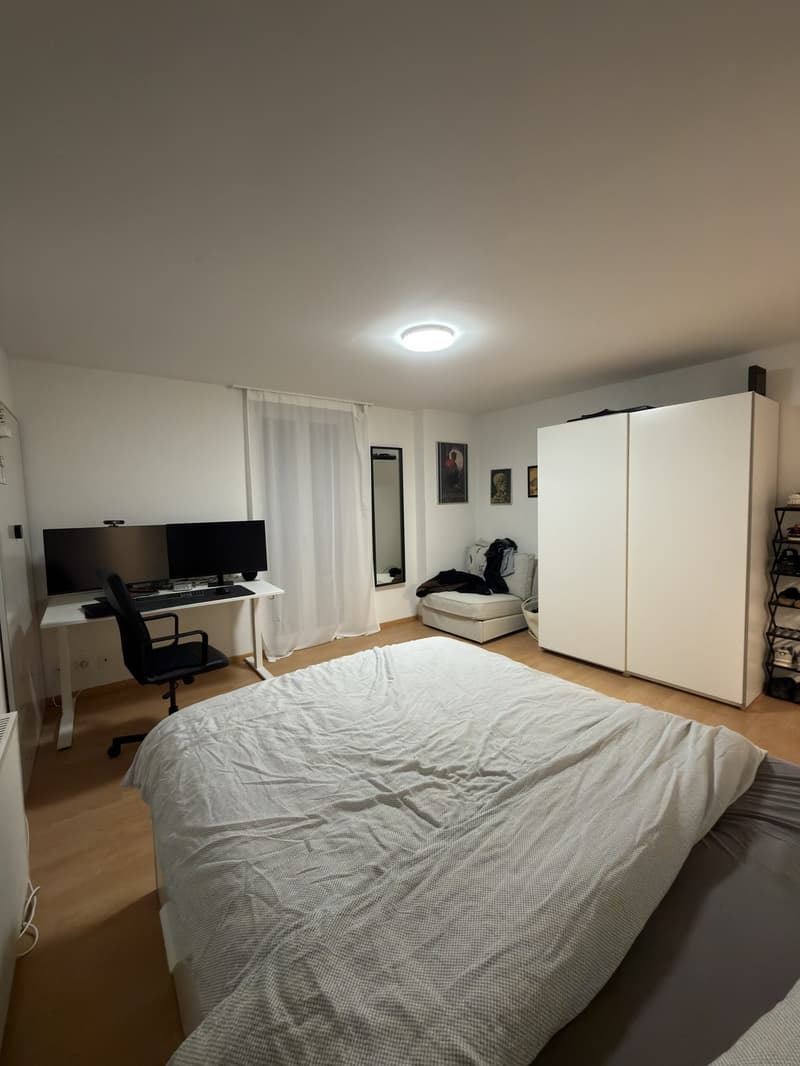 1.5-Zimmer-Wohnung mit Balkon (2)