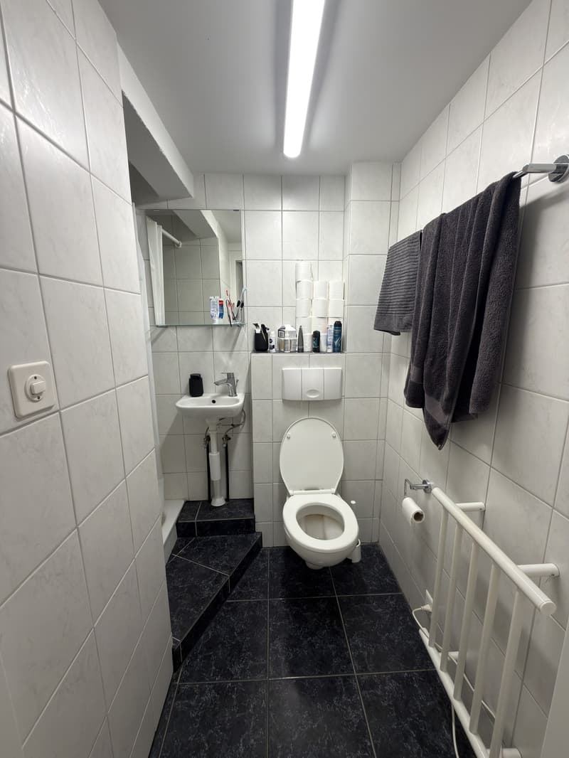 1.5-Zimmer-Wohnung mit Balkon (5)