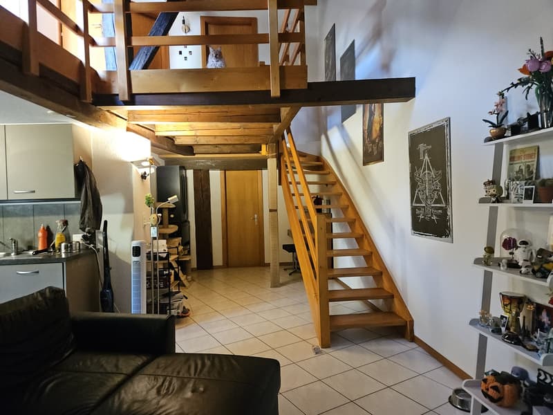 Duplex 3 pièce à remettre (2)