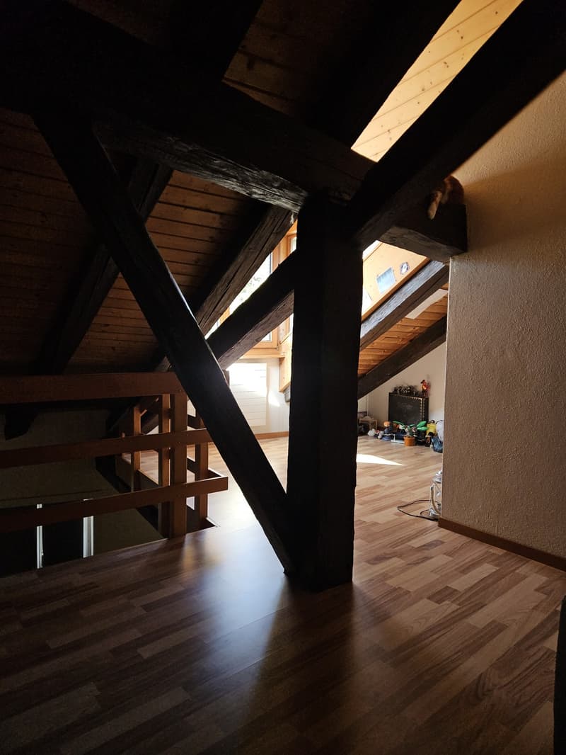 Duplex 3 pièce à remettre (9)