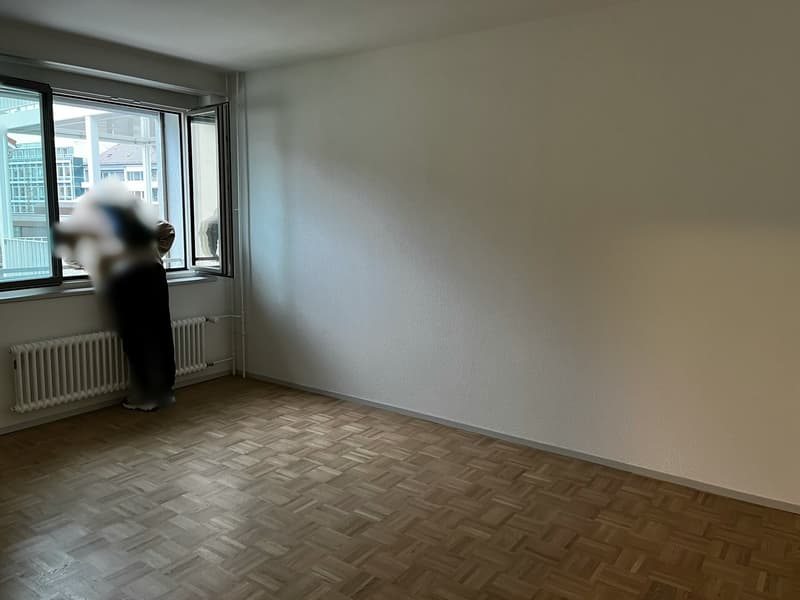 Modern 2.5-Room Apartment in Monbijou, Bern (5)