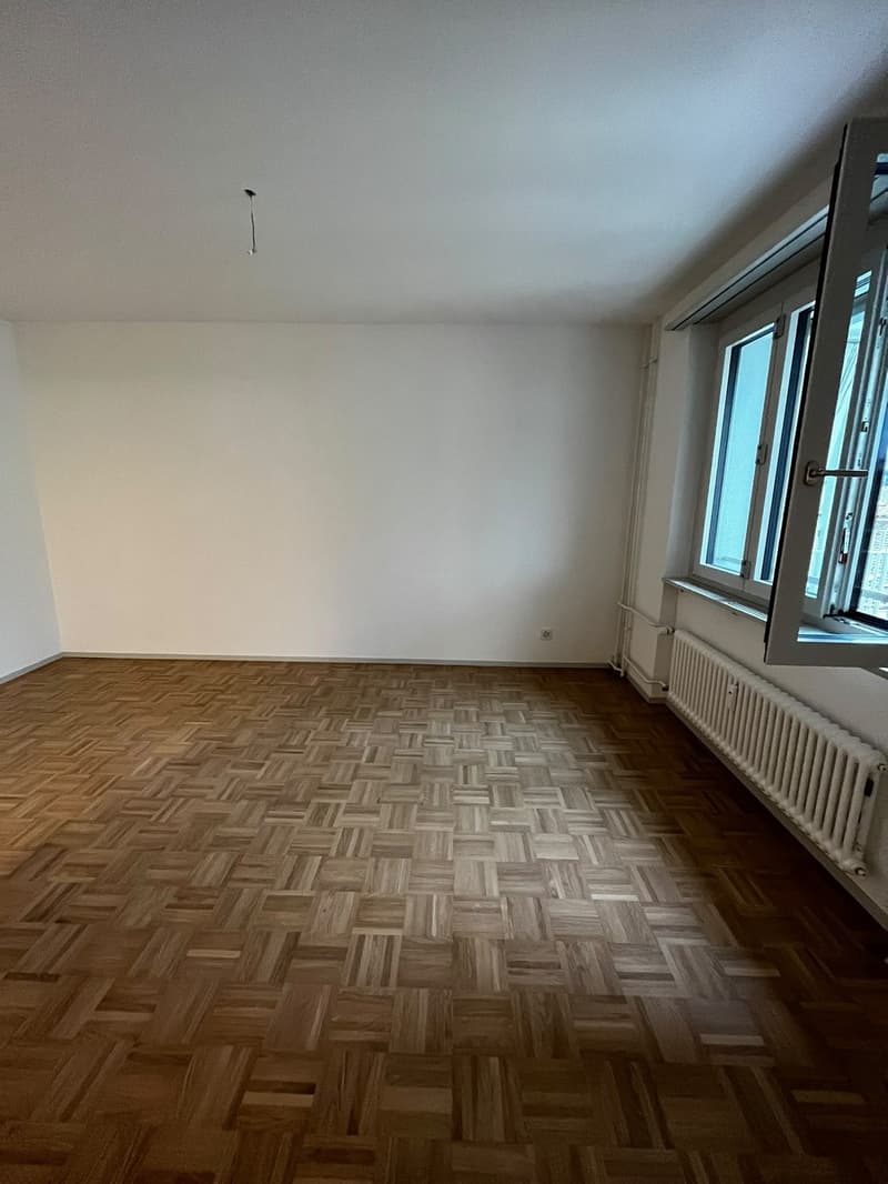 Modern 2.5-Room Apartment in Monbijou, Bern (6)
