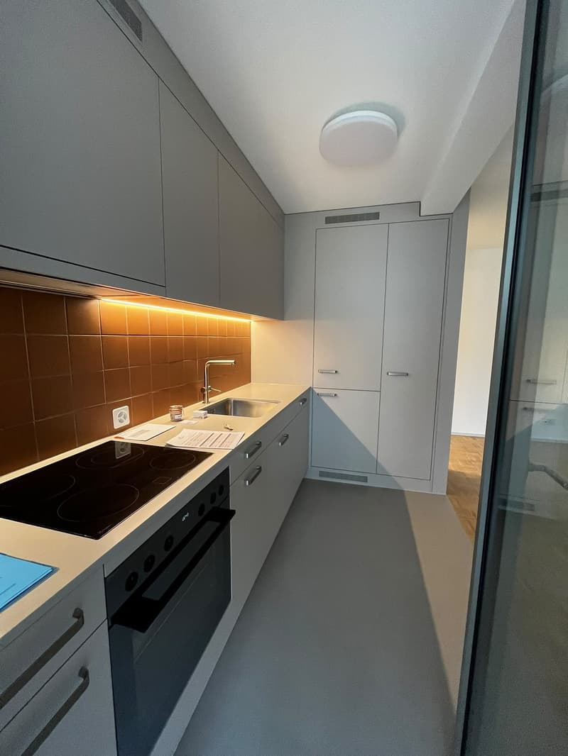 Modern 2.5-Room Apartment in Monbijou, Bern (1)