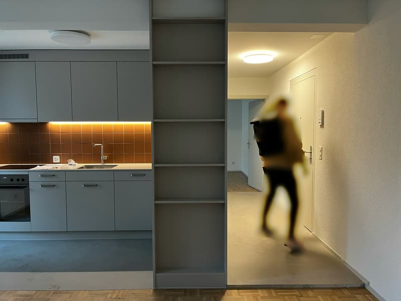 Modern 2.5-Room Apartment in Monbijou, Bern (2)