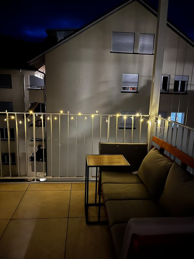 Modern 2.5-Room Apartment in Monbijou, Bern (3)