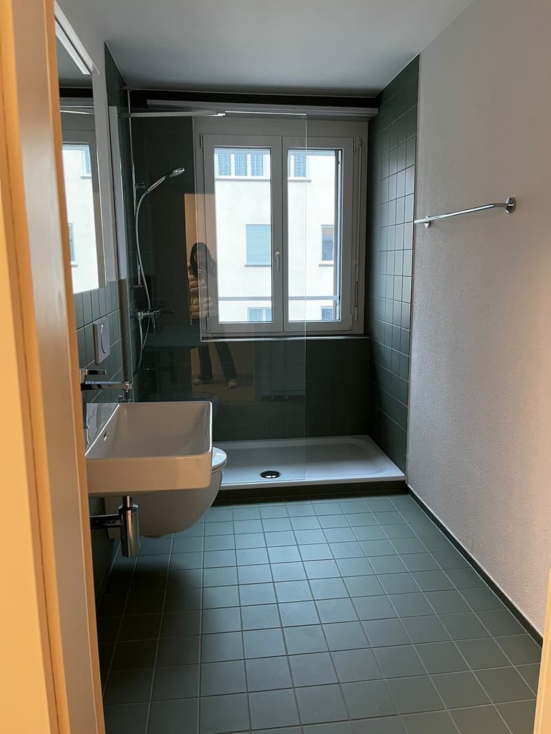 Modern 2.5-Room Apartment in Monbijou, Bern (4)