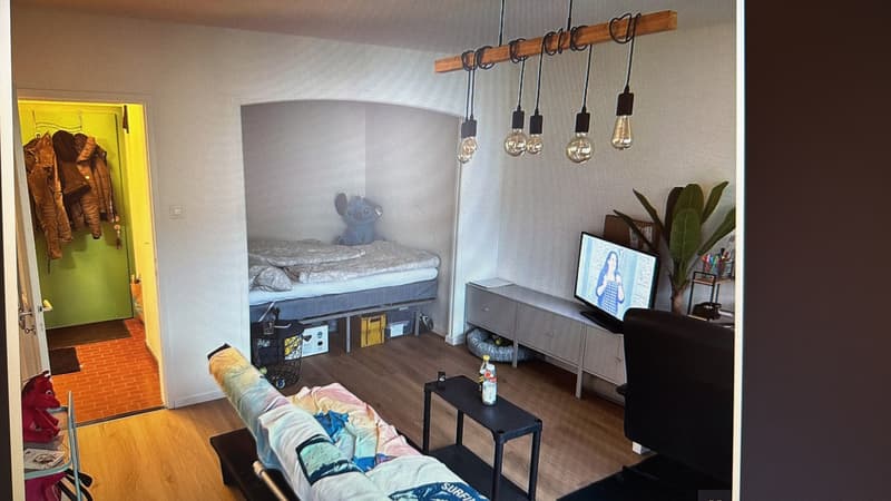 1 Zimmer Wohnung (4)