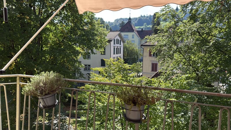 1 Zimmer Wohnung (5)