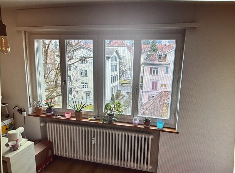 1 Zimmer Wohnung (1)