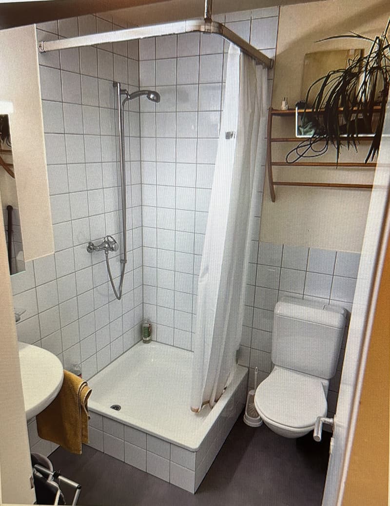 1 Zimmer Wohnung (2)